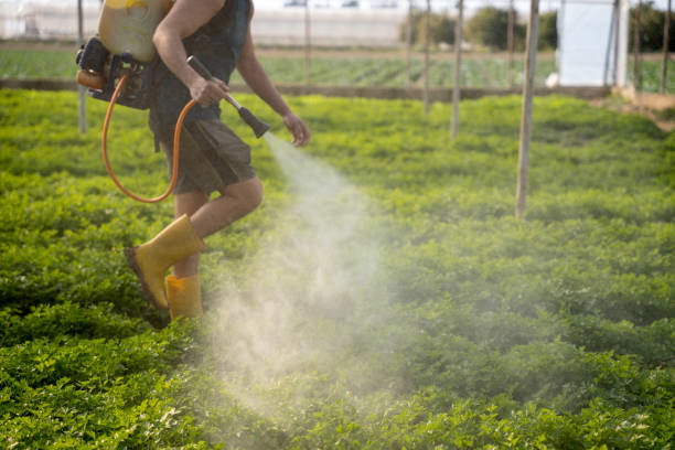 Best Affordable Pest Control Services  in Eureka, MO