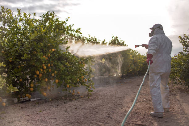 Best Affordable Pest Control Services  in Eureka, MO