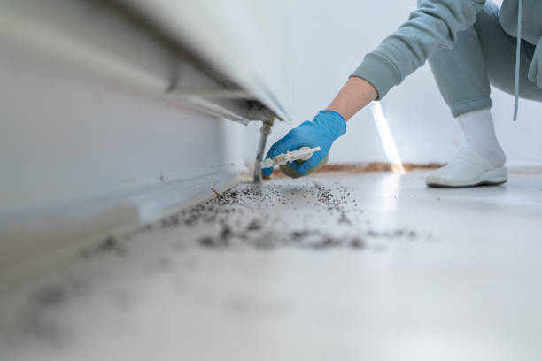 Best Affordable Pest Control Services  in Eureka, MO